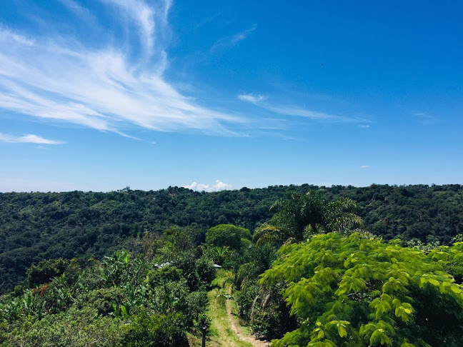 Mujer Café, Con Aroma De Mujer - Hospitality and gastronomy
