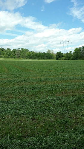 Comentarii opinii despre Grand Grilling Catering