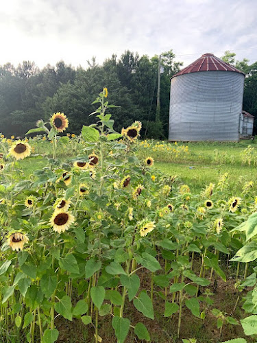 Opinii despre Circles of Colors în Notasulga - Hospitality and gastronomy