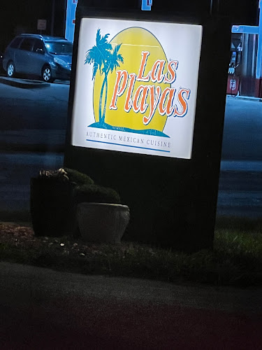 Comentarii opinii despre Las Playas