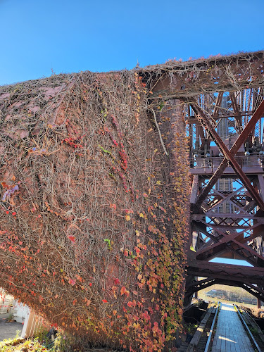 Comentarii opinii despre Shooters On The Water