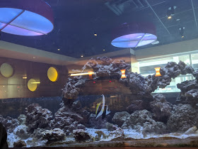 Aquarium Cafe