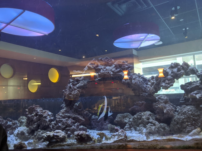 Aquarium Cafe