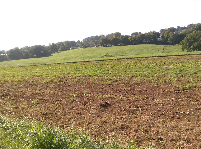 Opinii despre Sunset Acres Produce în Lancaster - Hospitality and gastronomy