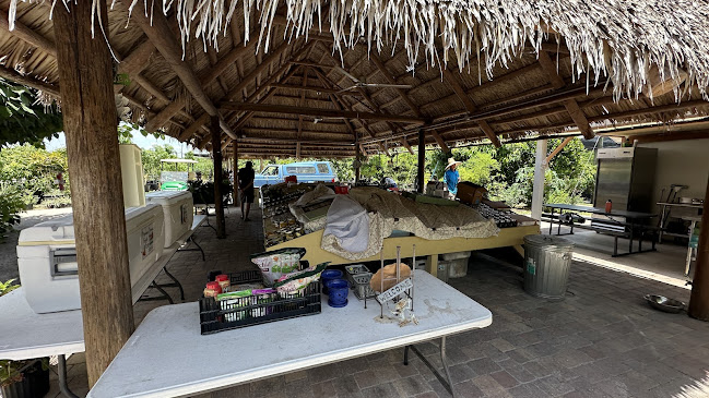 Pine Island Tropical Fruit Market - Hospitality and gastronomy