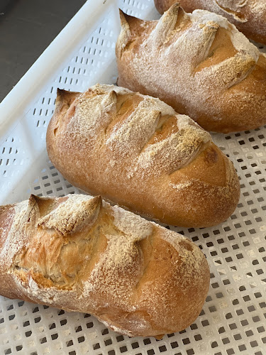 Comentarii opinii despre Mauro's Pasta