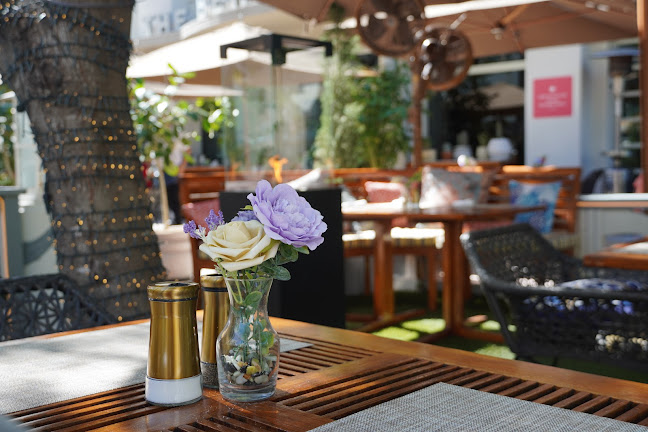 Salt Cafe Miami Beach - Miami Beach