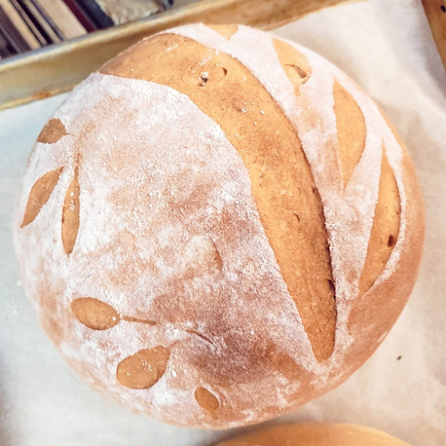 Reviews of Great Harvest Bread Company in Bolingbrook - Hospitality and gastronomy