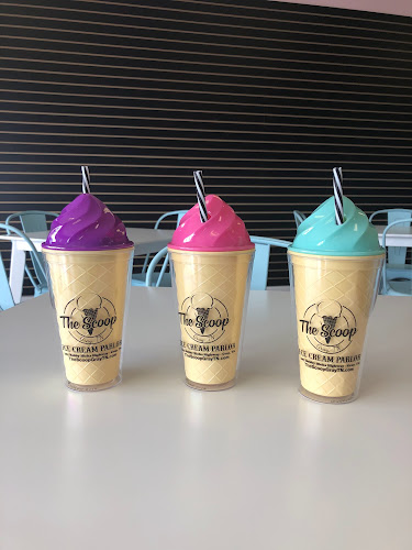 Opinii despre The Scoop Ice Cream Parlor în Johnson City - Hospitality and gastronomy