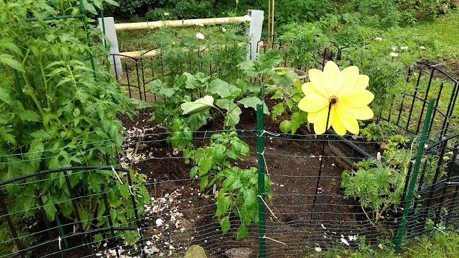 Opinii despre M.A.Farm în Bellingham - Hospitality and gastronomy