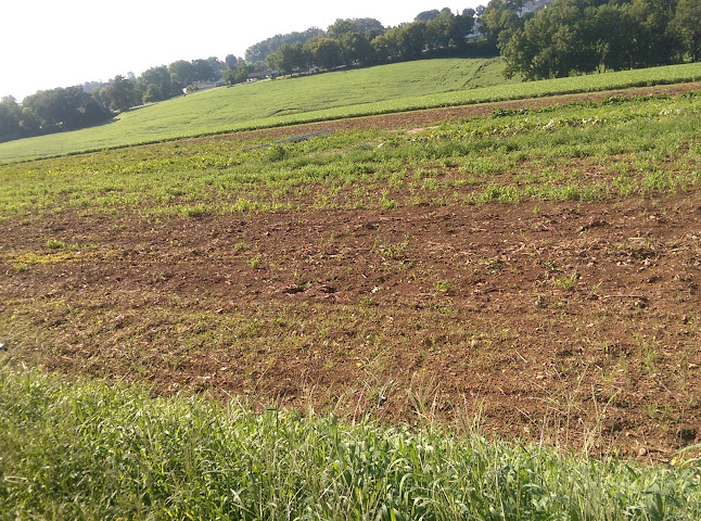 Sunset Acres Produce - Lancaster