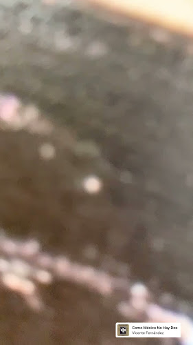 Opinii despre Taqueria El Meson Express în Berwyn - Hospitality and gastronomy