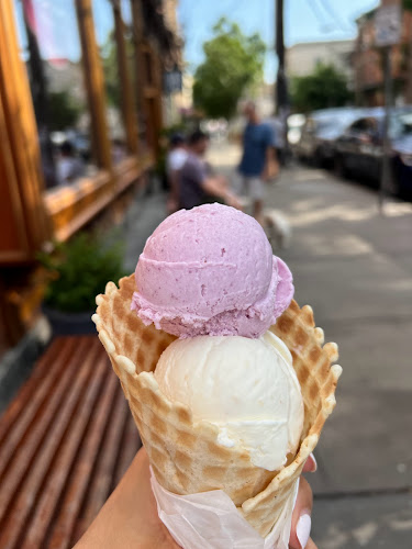 Comentarii opinii despre Torico