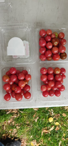 Sugar House Farmers Market - Salt Lake City