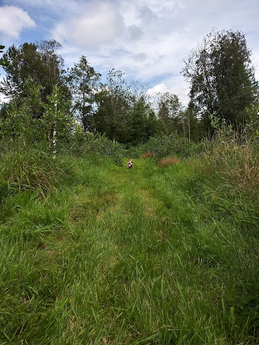 Schmidts Blueberry Farm - Marysville