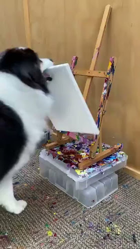 Hannah Banana’s - Gulfport