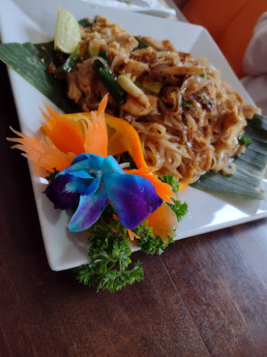 Rice Pot Thai Restaurant - Hospitality and gastronomy