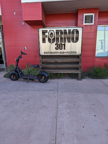 Comentarii opinii despre Forno 301