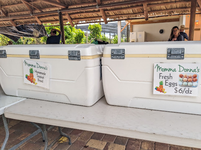 Pine Island Tropical Fruit Market - Hospitality and gastronomy