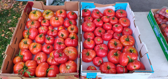 Sugar House Farmers Market - Hospitality and gastronomy