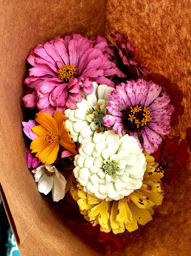 Circles of Colors - Notasulga