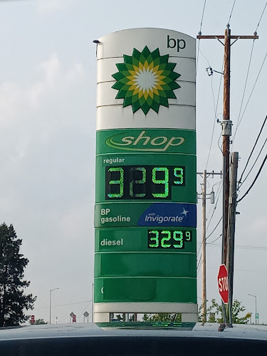 PIZZA PERFECT SOUTH - Hospitality and gastronomy