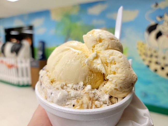 Opinii despre Frozen Moo în Hilton Head Island - Hospitality and gastronomy