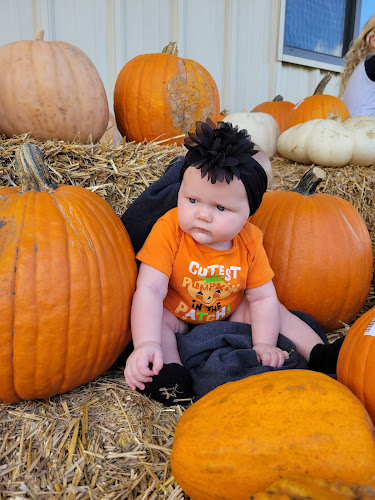 Reviews of Edgewood Orchards in Quincy - Hospitality and gastronomy