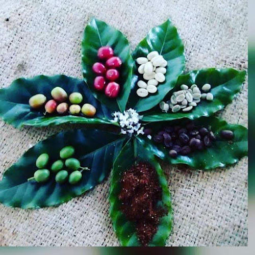 Comentarii opinii despre Mujer Café, Con Aroma De Mujer