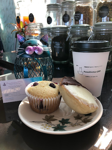 Opinii despre Pawsitivitea CNY Cafe & Cat Lounge în Syracuse - Hospitality and gastronomy