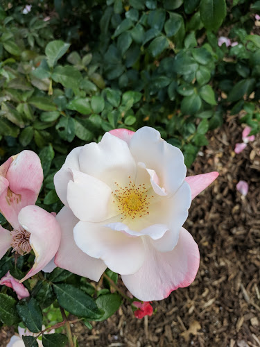 13765 Southern Oaks Dr, Burleson, TX 76028, United States