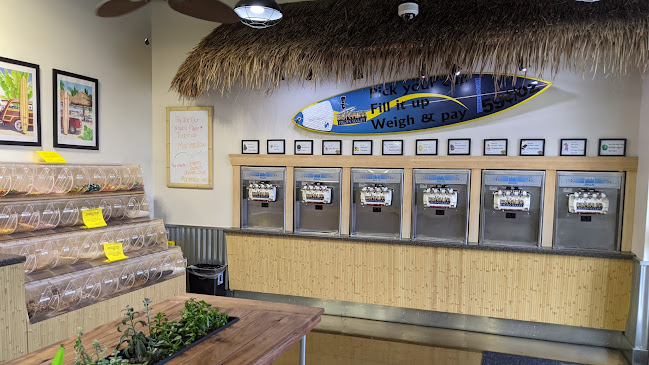 Big Kahuna Frozen Yogurt & Juicery - Elk Grove