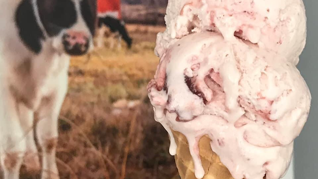 Nils Swedish Creamery - Ogden