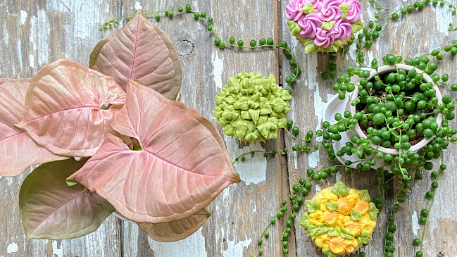 Reviews of Vegan in Valley Junction LLC in Des Moines - Hospitality and gastronomy