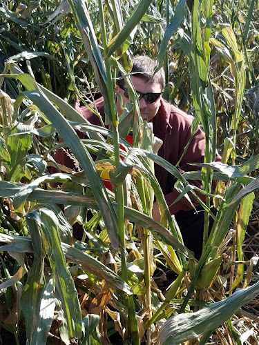 Pioneer Trail Orchard, Grill & Bar - Hospitality and gastronomy