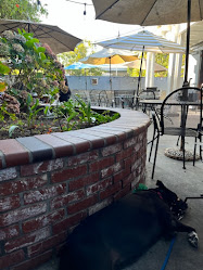 Village Kitchen & Pie Shoppe