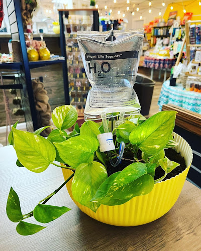 The Healthy Bee - Hospitality and gastronomy