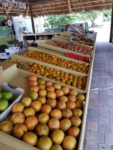 12870 Stringfellow Rd, Bokeelia, FL 33922