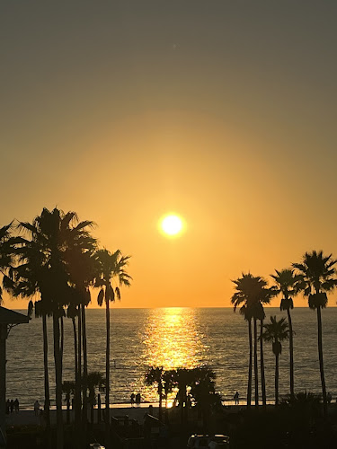 Daiquiri Deck Anna Maria Island - Bradenton