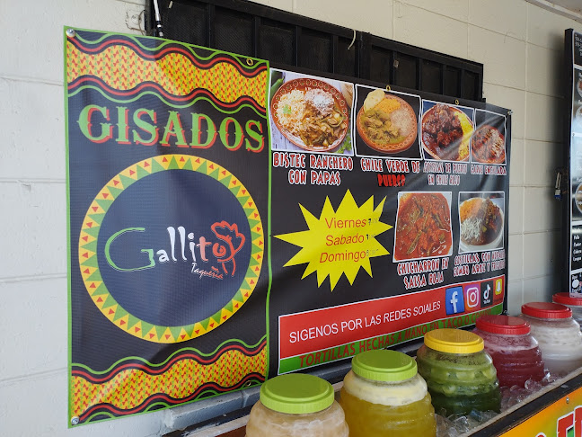 Taqueria Gallito