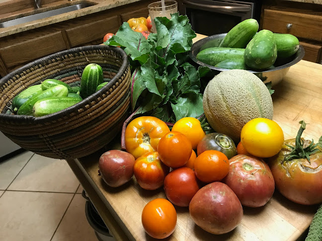 Emily's Kitchen - Hospitality and gastronomy