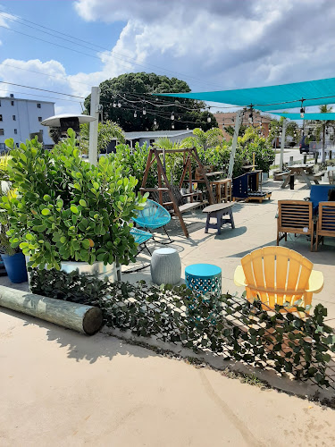 Kava Culture Kava Bar HQ - Hospitality and gastronomy