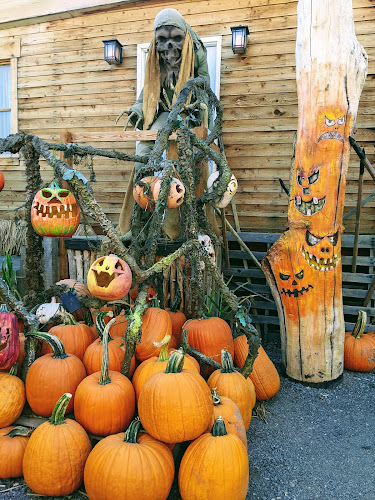 Kuwahara Farms - Sandy