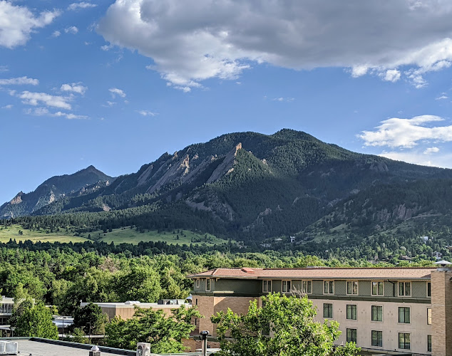 Corrida - Hospitality and gastronomy