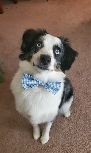 1251 Jungermann Rd, St Peters, MO 63376, United States