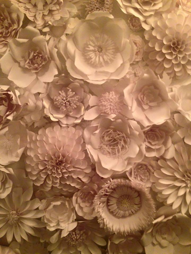 Comentarii opinii despre Papers to Petals