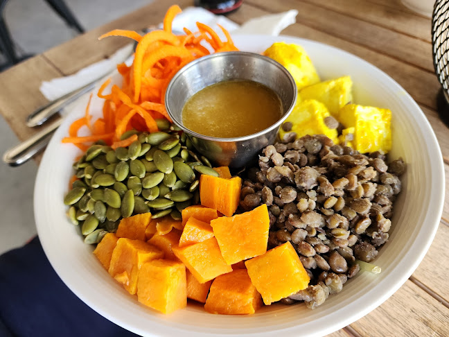 Holi Vegan Kitchen Hallandale - Hospitality and gastronomy