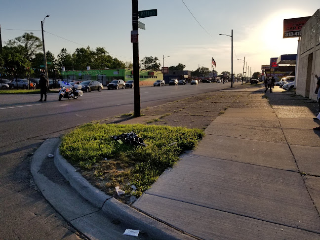 20447 W Seven Mile Rd, Detroit, MI 48219, United States