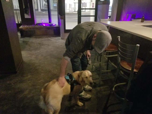 Comments and reviews of Stir Cocktail Lounge