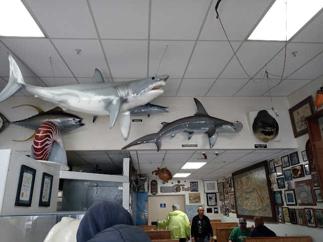 Comentarii opinii despre Harbor Fish & Chips